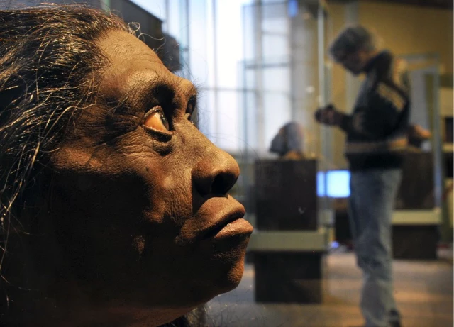 Afrika Dışında Bilinen En Eski İnsan Kalıntısı Bulundu