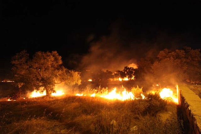Bodrum'da Gece Yarısı Korkutan Yangın! Mahalleli Kovalarla Su Taşıdı