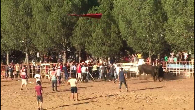 Dostluk Karşılaşması Meydan Savaşına Dönüştü Sahipleri boğalardan daha öfkeli çıkınca arena ringe döndü Boğa Sahipleri Kavgaya Tutuştu, Arena Ringe Döndü: Çok Sayıda Yaralı Var!
