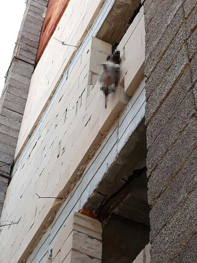 Böyle Vicdansızlık Görülmedi, Yavru Köpeği Asarak Öldürdüler