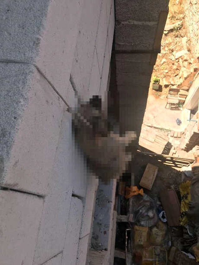 Böyle Vicdansızlık Görülmedi, Yavru Köpeği Asarak Öldürdüler