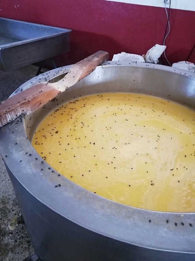 Zabıta Ekipleri, Kaşar Peynir Deposundaki Süt Tanklarında Sinekleri Görünce Gözlerine İnanamadı