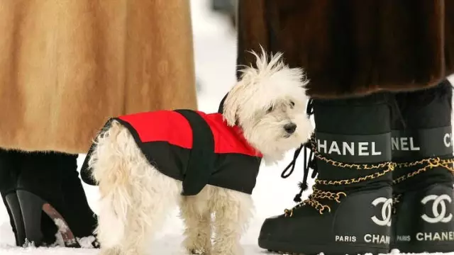 Ünlü Giyim Markaları Satılmayan Ürünlerini Neden Yok Ediyor?