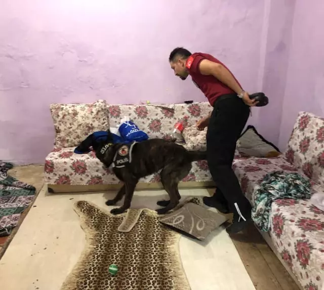 İstanbul'da Helikopter Destekli Narkotik Operasyonunu Yırtıcı Köpekler Engelledi