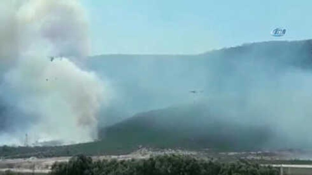 Türkiye Dünyada Orman Yangınlarına Müdahalede Önde Geliyor