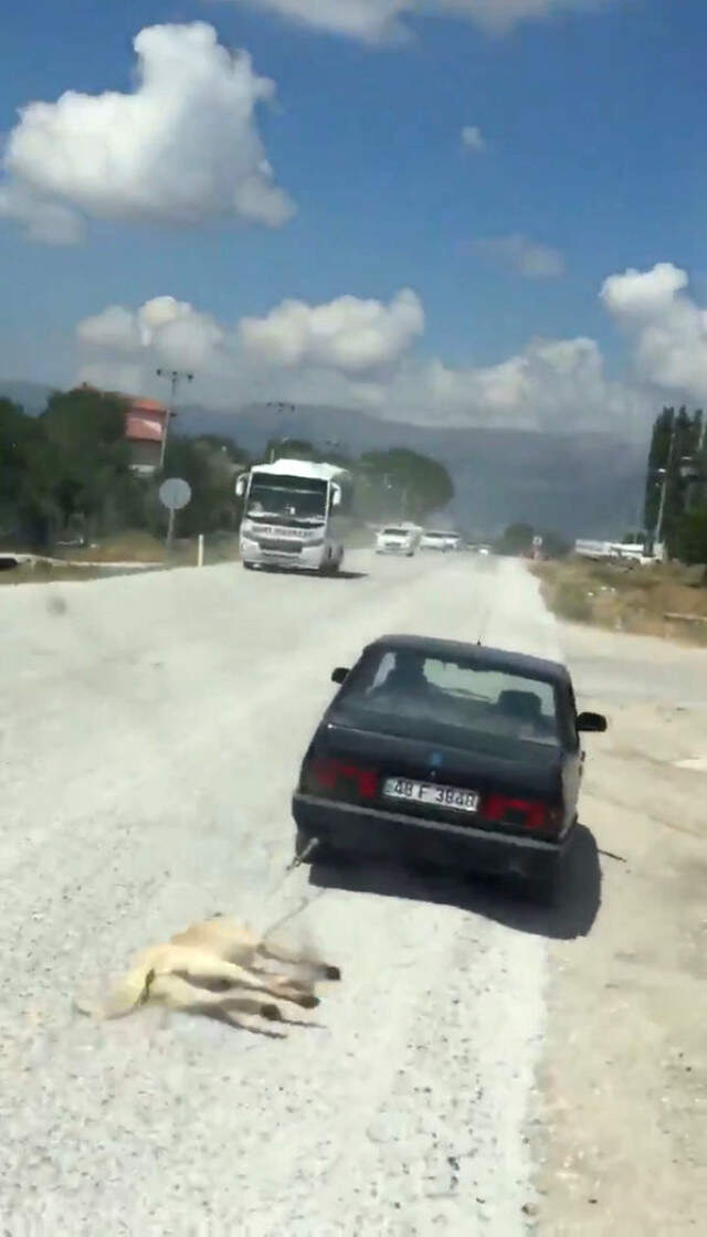 Cani Adam Köpeği Arabanın Arkasına İple Bağlayarak Sürükledi! Cani Adam, Köpeği Arabanın Arkasına İple Bağlayarak Sürükledi!