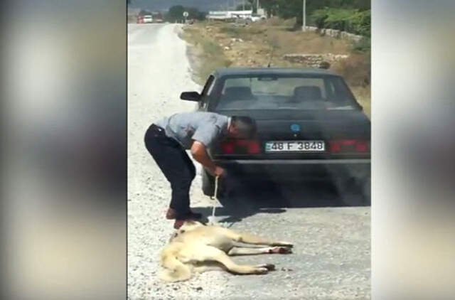 Cani Adam Köpeği Arabanın Arkasına İple Bağlayarak Sürükledi! Cani Adam, Köpeği Arabanın Arkasına İple Bağlayarak Sürükledi!