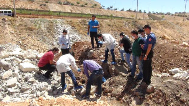 Şanlıurfa'da Kafası Koparılmış 2 Yaşında Çocuk Cesedi Bulundu