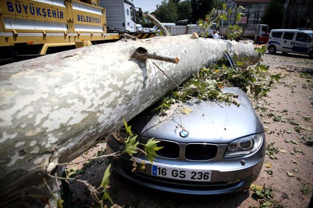 Tarihi <a class='keyword-sd' href='/cinar/' title='Çınar'>Çınar</a>, 200 Bin TL'lik Lüks Otomobilin Üzerine Devrildi