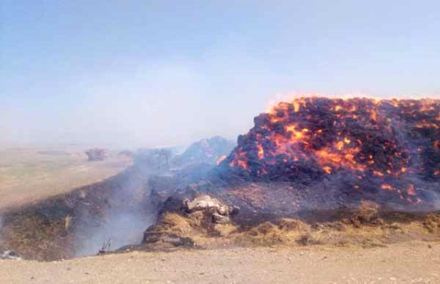 Gaziantep'te Çıkan Yangın Sonrası 250 Bin Lira Değerindeki Yem Kül Oldu
