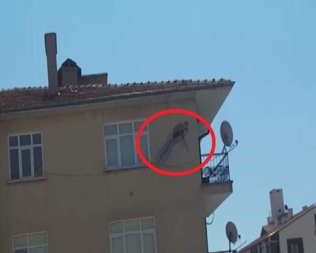 Çatıdan Düşen Vatandaş, Omurilik Ezilmesinden Hayatını Kaybetti Çatıda Uyuyakalıp Düşen Vatandaş, Omurilik Ezilmesinden Hayatını Kaybetti