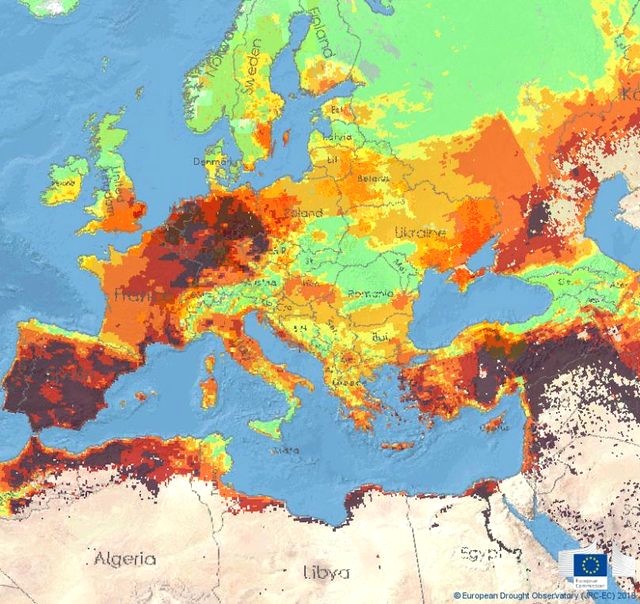 Türkiye'nin de Aralarında Bulunduğu Akdeniz Ülkeleri Yangın Riski Altında