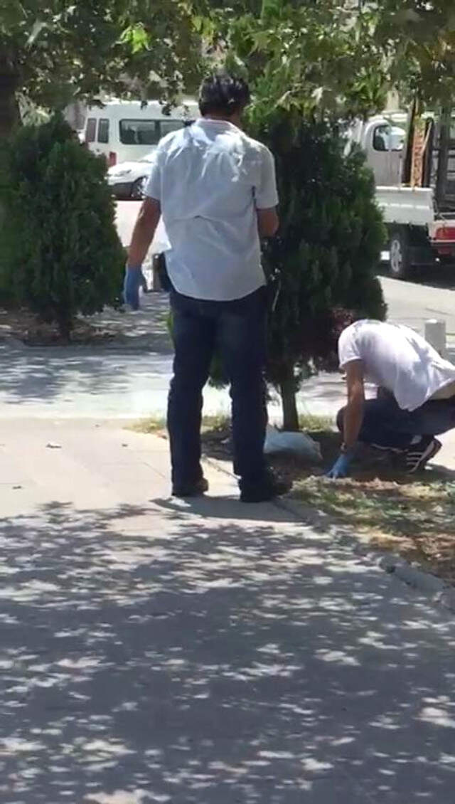 Hatay'da, Düşük Yapan Kadın Bebeğini Kaldırımdaki Ağacın Altına Gömdü