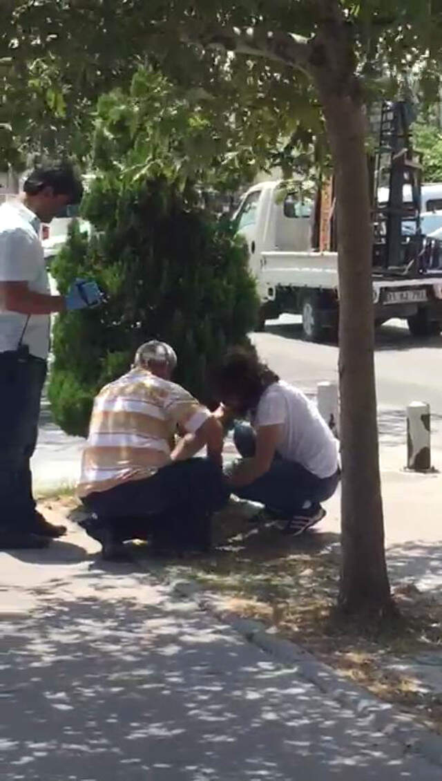 Hatay'da, Düşük Yapan Kadın Bebeğini Kaldırımdaki Ağacın Altına Gömdü