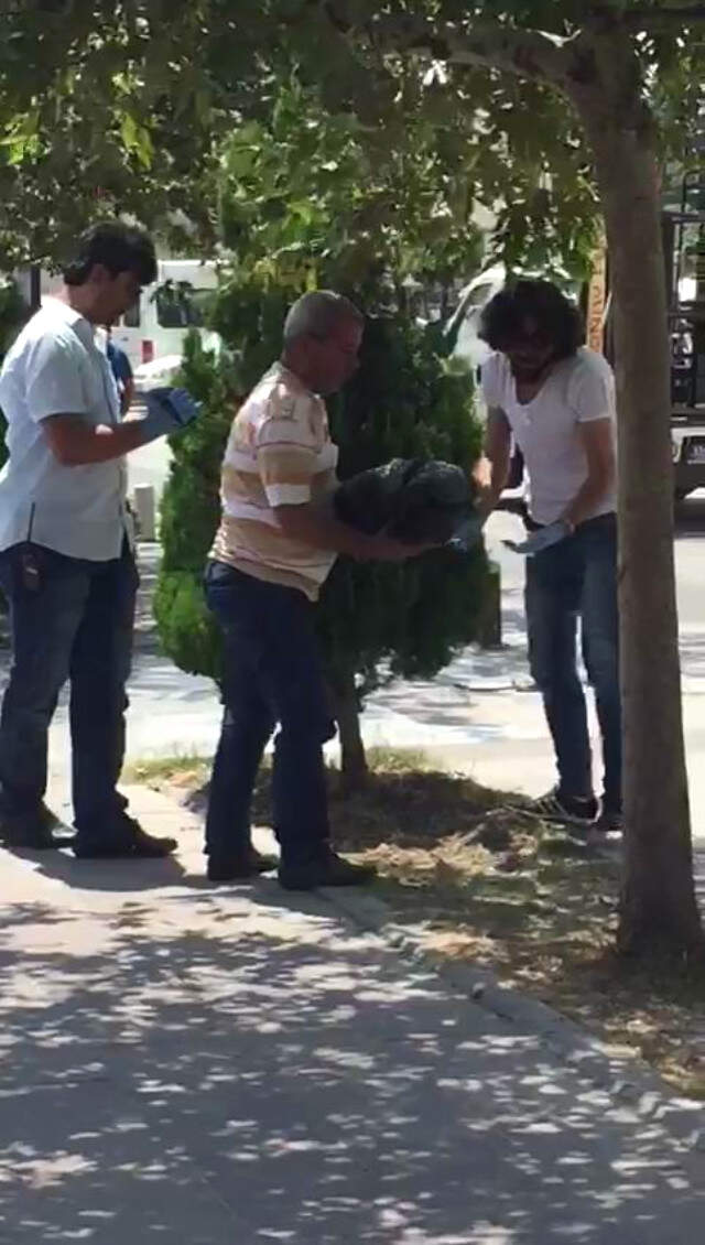 Hatay'da, Düşük Yapan Kadın Bebeğini Kaldırımdaki Ağacın Altına Gömdü
