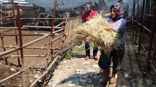 4 Bileziğini Satarak Hayvancılığa Başladı, Şimdi Paraya Para Demiyor