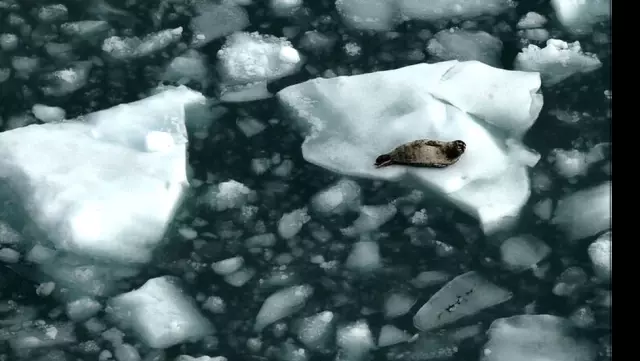 Korkutan Uyarı! Dünya İklim Değişiminde Geri Dönüşü Olmayan Yola Girebilir