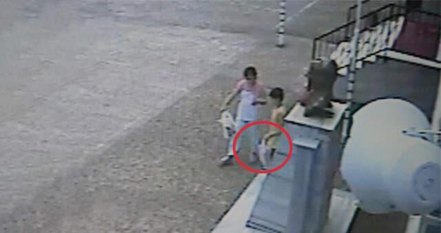 Siirtli Mevsimlik Tarım İşçisi Çocuklar, Türk Bayrağını Defalarca Öptüler