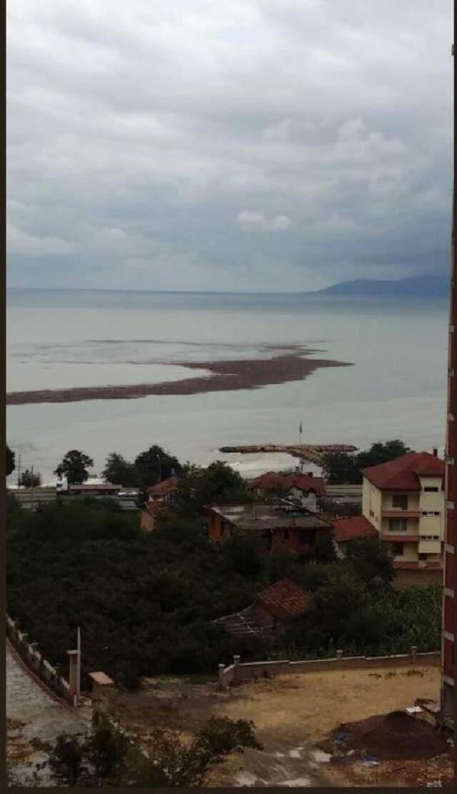 Ordu'daki Sel Felaketinin Ardından Denizde Fındık Adacığı Oluştu
