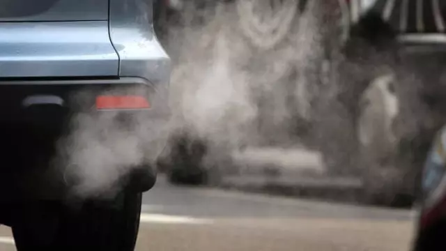 Dünya'yı Daha Yaşanılır Kılmak İçin Neler Yapabilirsiniz?