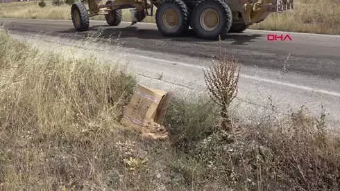 Konya Yol Kenarında Ön Ayakları Birbirine Bağlı Köpek Ölüsü Bulundu