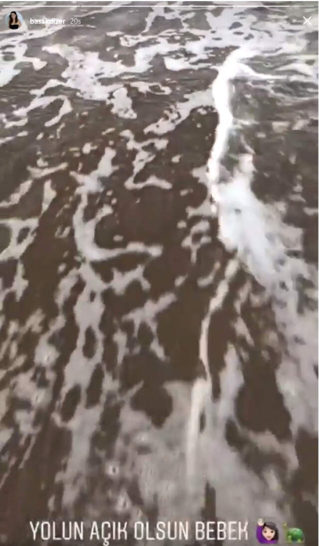 Kıvanç Tatlıtuğ, Eşi Başak Dizer ile Deniz Kaplumbağalarının İmdadına Yetişti