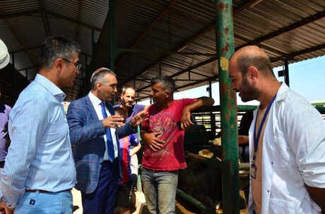 1100 Kiloluk Danayı Alana, 130 Kiloluk Koyun Hediye