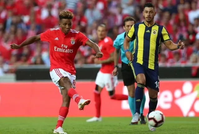 Fenerbahçe, Şampiyonlar Ligi Yolunda Yarın Benfica ile Karşılaşacak