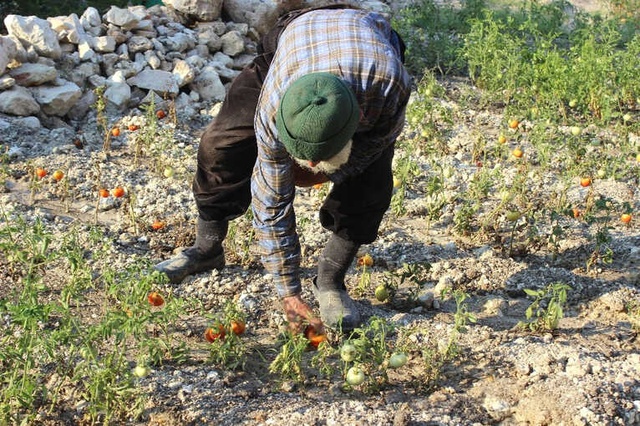 Nişan Atınca Hayata Küsen Ahmet Dede, 30 Yıldır Dağda Tek Başına Yaşıyor