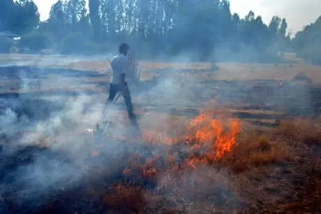 Van'da Vatandaşlar Kendiliğinden Yanan Toprak Üzerinde Balık Pişirdiler