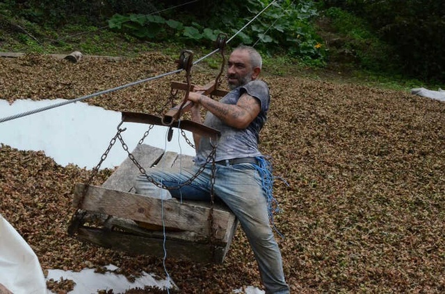 Cenazelerin Taşındığı İlkel Teleferikle Metrelerce Yükseklikten Tehlikeli Yolculuk