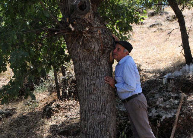 Ağaç Kovuklarında Buldukları Balın Kilosunu 500 Liradan Satıyorlar