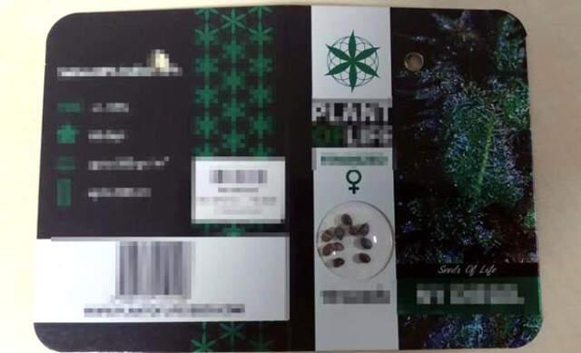 Alman Mühendisin Evinden Sentetik Uyuşturucu Skunk ve Kullanma Talimatı Çıktı