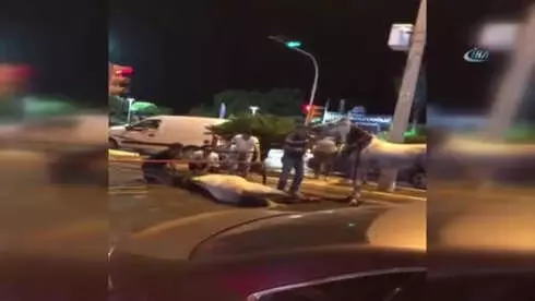 Susuzluktan Yere Yığılan Atı Ayağa Kaldırıp Devam Eden Adama Sosyal Medyadan Büyük Tepki Geldi