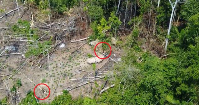 İlk Kez Kaydedildi! Amazon'da Medeniyetten Uzak Yaşayan Yerli Kabileden 16 Kişi Görüntülendi