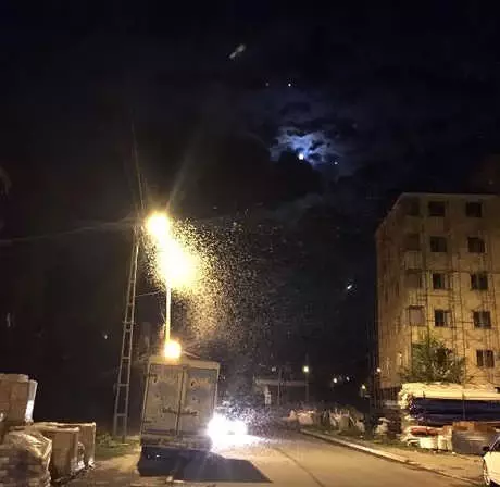 Dün Gece Başlayan 'Kelebeklerin Ölüm Dansı', Ardahan'a Kar Gibi Kelebek Ölüsü Yağdırdı