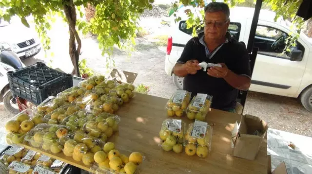 Türkiye'nin İlk Guava Üreticisi! 5 Yıl Önce 5 Fidan Dikerek Başladı Şimdi Yok Satıyor