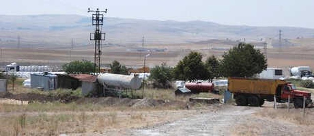 Ankara'da Şarbon Alarmı: 50 Büyükbaş Hayvan Telef Oldu