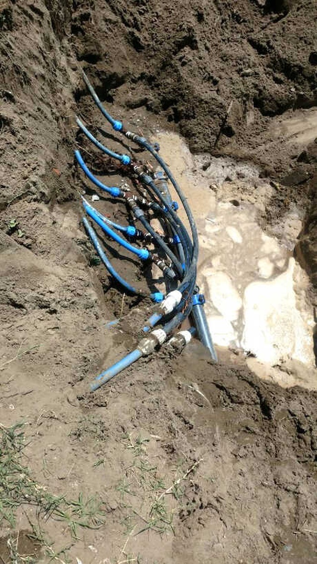 Sakarya'da Suyun Rengi Değişti, Denize Girmek Yasaklandı