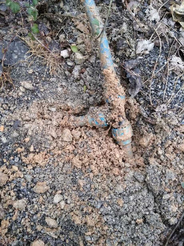 Sakarya'da Suyun Rengi Değişti, Denize Girmek Yasaklandı