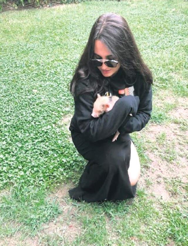 Sibel Can'ın, Kızı Melisa Ural'a Yavru Domuz Alması Sosyal Medyada Olay Oldu