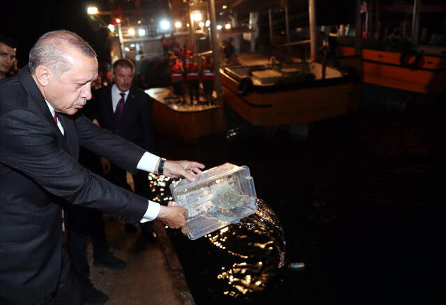 Başkan Erdoğan 