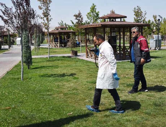 2 Yavru Köpeğin Ayaklarını Kestiler