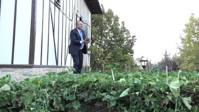 Çavuşoğlu, Dışişleri Bakanlığı Resmi Konutu'nda Yetiştirdiği Kavunları Kendi Elleriyle Gazetecilere Yedirdi