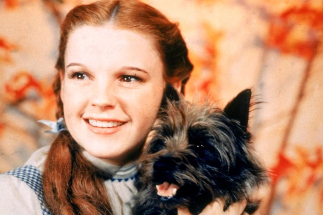 Oz Büyücüsü'ndeki Dorothy'nin Kırmızı Ayakkabıları Çalındıktan 13 Yıl Sonra Bulundu