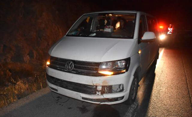 Sivas - Minibüsün Çarptığı 'Ayı' Telef Oldu Sürücü, Ayıya Çarptığını Anlayınca Korktu, 1 Kilometre Uzaklaşıp Polise Haber Verdi