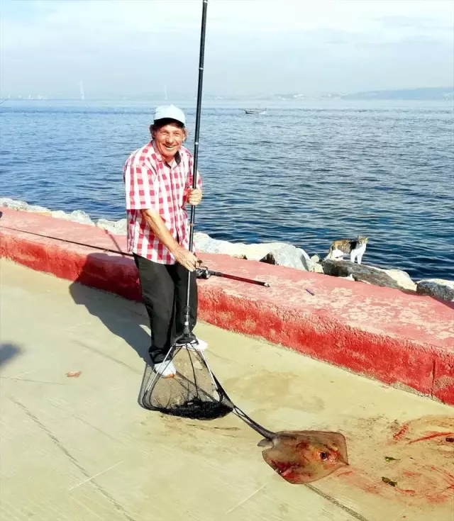 Oltasına İğneli Vatoz Takılan Amatör Balıkçı, Bir İlki Yaşadı