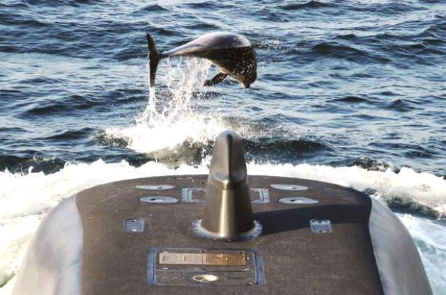 Deniz Kuvvetleri Komutanlığının Seçkin Birlikleri olan SAT'lar, Yaptıkları Eğitimle Akdeniz'de Mesaj Verdi!