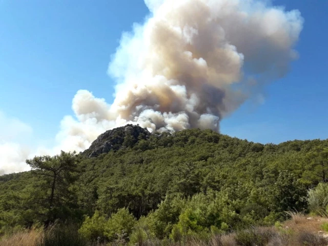 Antalya'da Orman Yangını Çıktı! Ekipler Müdahale Ediyor