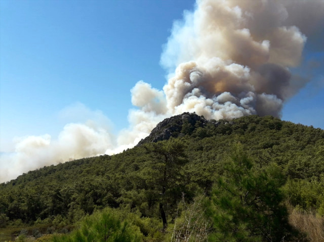 Antalya'da Orman Yangını Çıktı! Ekipler Müdahale Ediyor